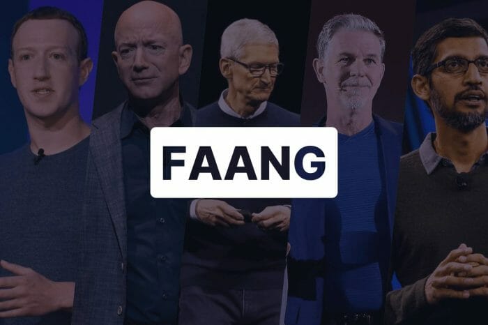 FAANG Rollercoaster:  Scariest Ride in the World?