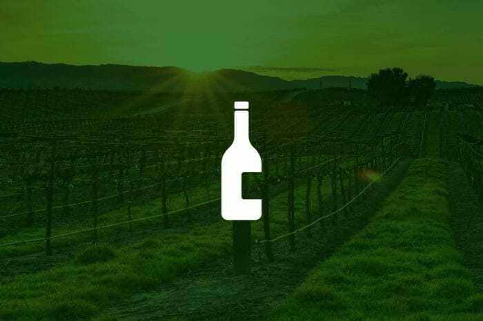 Top 6 Distillers & Wineries Stock to Buy in 2019