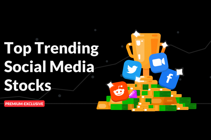 New Coverage: Social Media Top Picks - Premium Exclusive